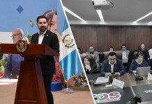 Avances con la operativización del artículo 29 de la ley de tránsito.