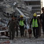 Rescatistas buscan supervivientes con perros rastreadores. Foto La Hora: EFE.