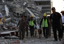 Rescatistas buscan supervivientes con perros rastreadores. Foto La Hora: EFE.