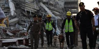 Rescatistas buscan supervivientes con perros rastreadores. Foto La Hora: EFE.