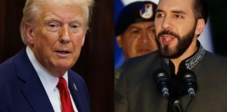 Trump y Bukele planean reunión en la Casa Blanca para el próximo mes