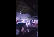 VIDEO: reportan ataque armado en el coliseo municipal de San Manuel Chaparrón, Jalapa Ataque armado ocurrió durante el jaripeo de la feria patronal de San Manuel Chaparrón, Jalapa. Foto La Hora: Captura de Pantalla
