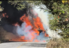 Vehículo incendiado en narcobloqueo al sur de Jalisco, Foto La Hora: Captura de Pantalla video de El Financiero