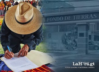 Caso Fontierras