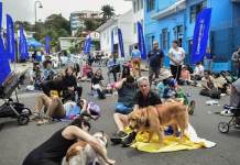 Concierto para mascotas se llevó a cabo en Costa Rica