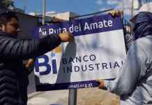 Banco Industrial se ha perfilado como uno de los principales patrocinadores del proyecto. Foto: Banco Industrial.