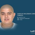 Guatemala, al igual que EE.UU. ha puesto una recompensa de Q 50 mil por información que lleve a la captura de "Haroldito".