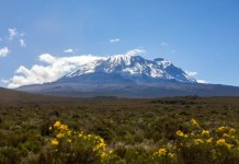 Informe de la UNESCO revela las consecuencias del deshielo de glaciares y montañas