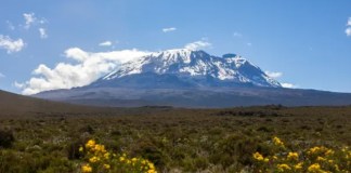 Informe de la UNESCO revela las consecuencias del deshielo de glaciares y montañas