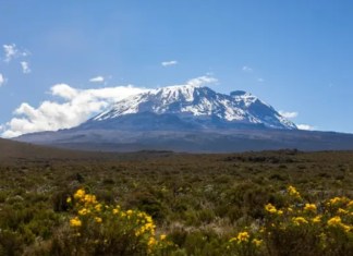 Informe de la UNESCO revela las consecuencias del deshielo de glaciares y montañas