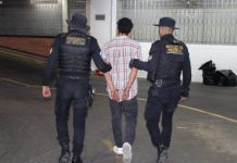 Integrante de la Mara Salvatrucha es capturado como sospechoso de dar muerte a hombre en zona 6 La Policía Nacional Civil (PNC), realizó la captura de un presunto integrante de la Mara Salvatrucha tras dar muerte a un hombre en zona 6.