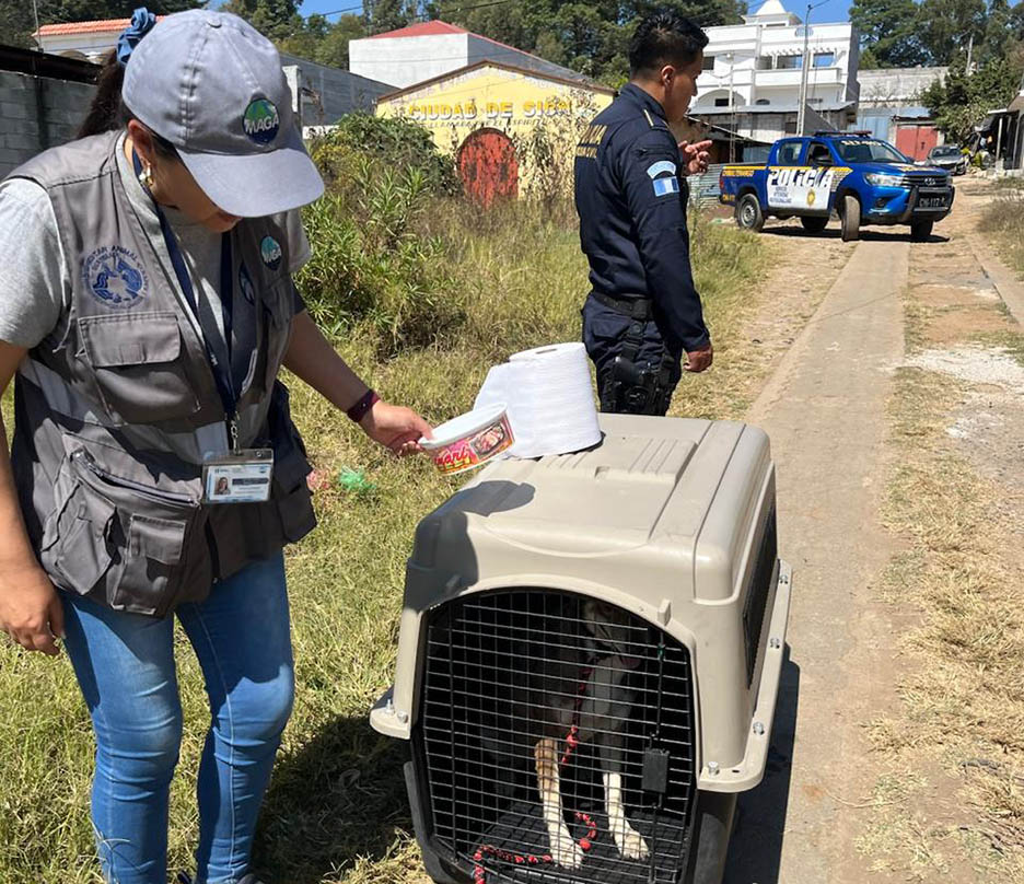 Maga rescata a perrita en condiciones de abandono y maltratada en Chimaltenango