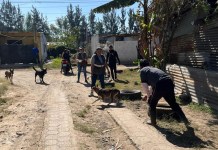 Maga rescata a perrita en condiciones de abandono y maltratada en Chimaltenango Maga rescata a perrita en condiciones de abandono y maltratada en Chimaltenango