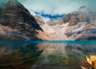 22 de marzo: Día Mundial del Agua, 2025 preservación de los glaciares