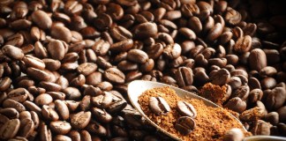 Precios del café al alza para 2025, según la FAO