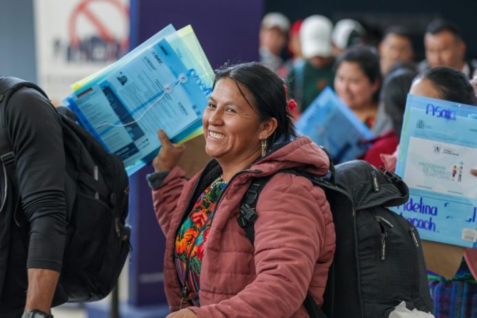 Autoridades han alertado sobre un incremento en los casos de estafas relacionadas con programas de trabajo en el extranjero.