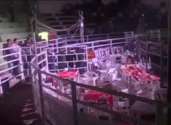 Diversas personas grabaron el momento del ataque armado en el interior del coliseo. Foto La Hora: Captura de Pantalla/Redes Sociales