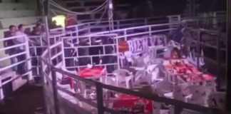 Diversas personas grabaron el momento del ataque armado en el interior del coliseo. Foto La Hora: Captura de Pantalla/Redes Sociales