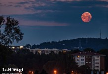 EN VIVO: Así podrás seguir la trayectoria de la “Luna de Sangre” en Guatemala El eclipse lunar podrá ser visto en transmmisión en vivo. Foto La Hora: Adobe.