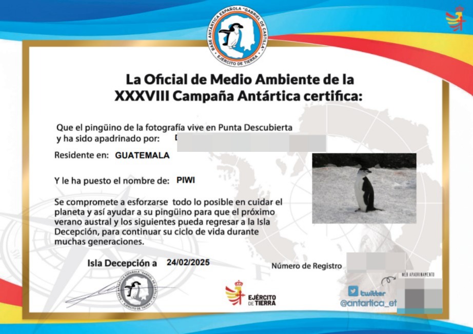 Paso a paso de cómo apadrinar un pingüino gratis y de forma virtual