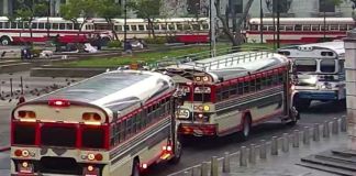 Caravana de buses extraurbanos frente al Palacio Nacional.