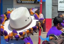 Una hermandad en Antigua Guatemala pidió evitar usar capibaras en las procesiones. Foto La Hora: orlandorukal