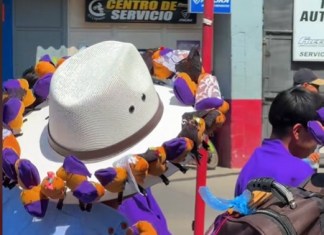 Una hermandad en Antigua Guatemala pidió evitar usar capibaras en las procesiones. Foto La Hora: orlandorukal