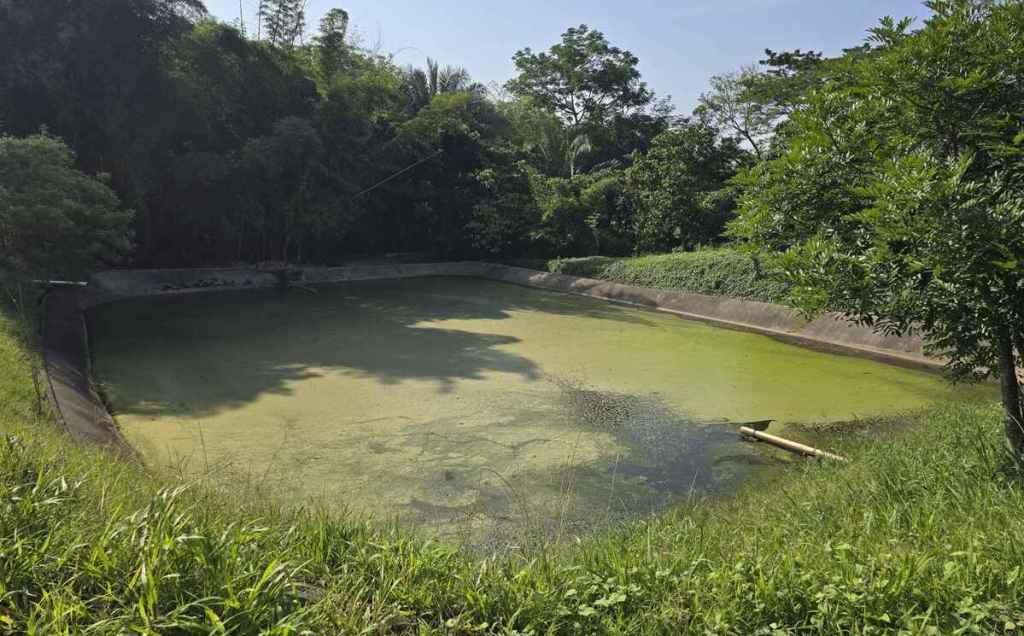 IRTRA ha invertido en proyectos de manejo de desechos y composta aportando al impacto ambiental. Foto: IRTRA.