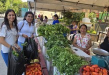 Feria del agricultor 2025 llega a la capital con verduras a bajo precio ¡Verduras a bajo precio!, feria del agricultor 2025 llega a la capital el jueves 13 de marzo