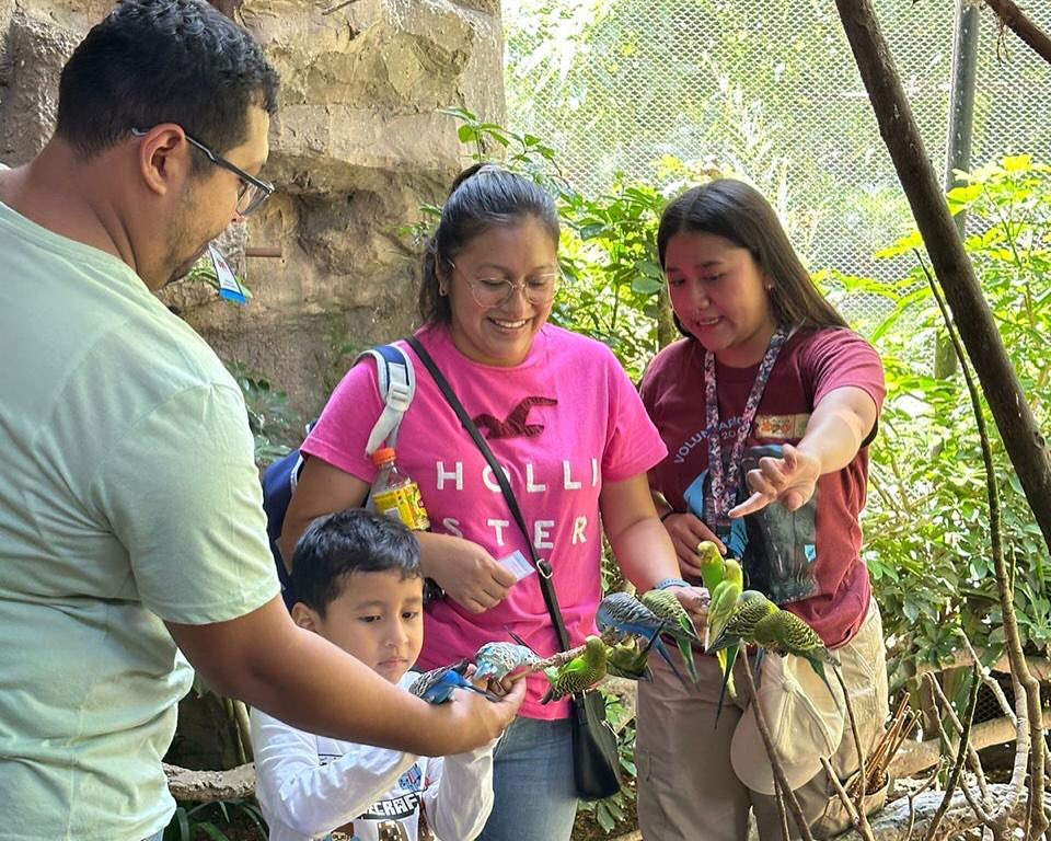 zoologico