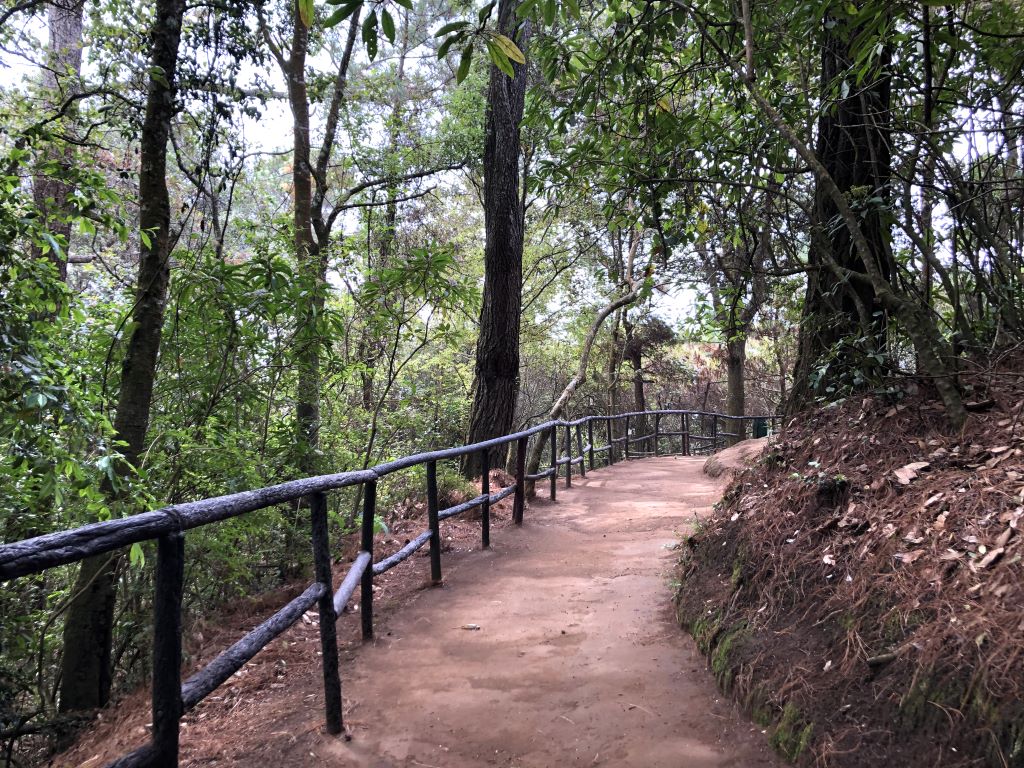 Cerro Alux