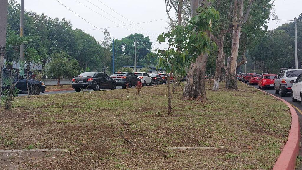 Las largas filas de automóviles llegan hasta el edificio S10. Foto La Hora: Cortesía 