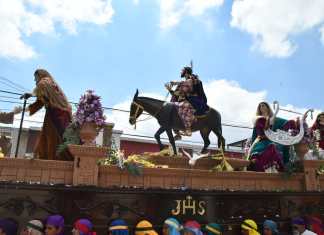 Domingo de ramos