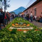 Alfombra hecha con verduras