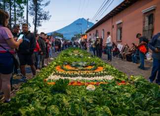 Alfombra hecha con verduras
