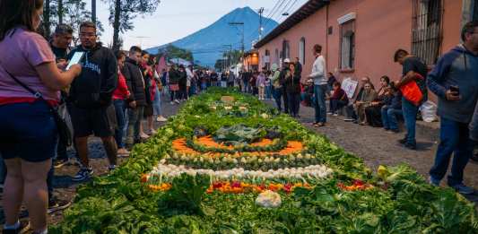 Alfombra hecha con verduras