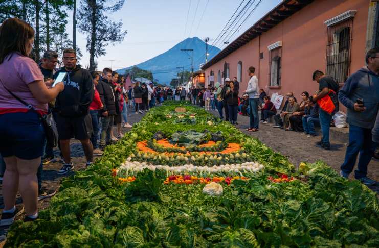 Alfombra hecha con verduras