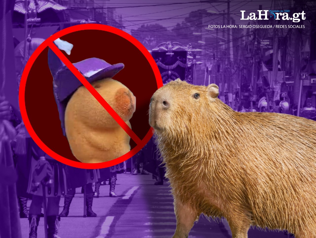 Capibaras: La tendencia que inundo internet y también provocó una prohibición en recorridos procesionales