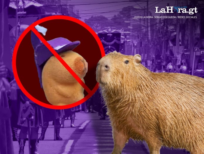 En 2020 una capibara formó parte del videoclip de la canción 