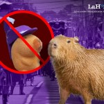 En 2020 una capibara formó parte del videoclip de la canción "Ice cream" de Selena Gomez y Blackpink. Arte: Víctor García