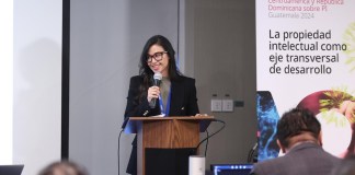 Fernanda Larios, previo al cargo de Viceministra de Asuntos Registrales
