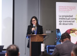 Fernanda Larios, previo al cargo de Viceministra de Asuntos Registrales