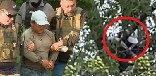 Un hombre con orden de arresto huyó de las autoridades trepando un árbol. Foto La Hora: SBG San Antonio.