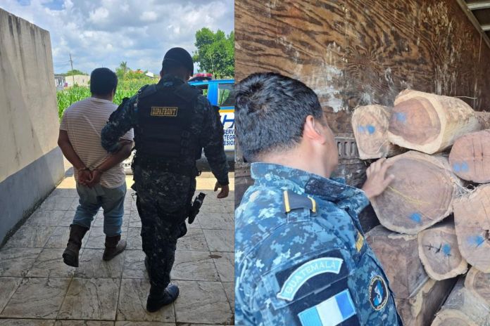 Hombre detenido por transportar madera rosul de manera ilegal. Foto La Hora: PNC