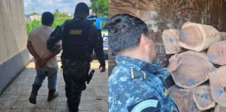 Hombre detenido por transportar madera rosul de manera ilegal. Foto La Hora: PNC