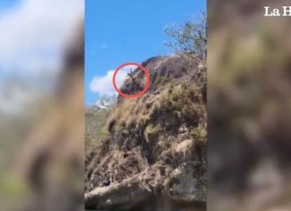 Video: Hombre se lanza a poza en Honduras y muere al impactar contra una piedra