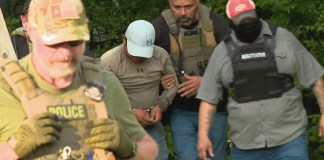 Migrante guatemalteco se esconde en un árbol por 8 horas para evitar ser arrestado por ICE