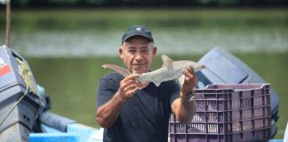 Pescador en el Atlántico de Guatemala sosteniendo un tiburón. Foto La Hora: MAGA