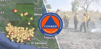 Incendios de Abril 2025