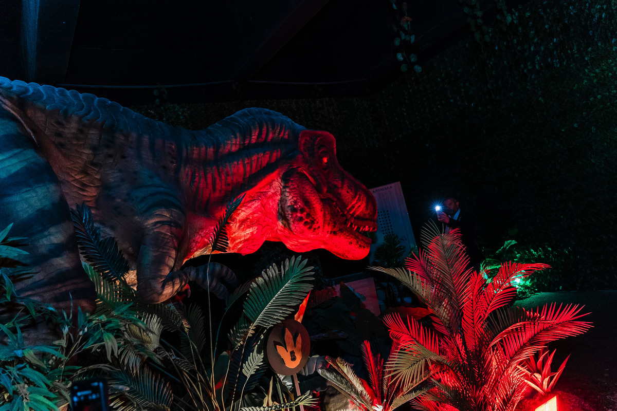 Juassic Experience